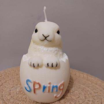 ���������Ђ������� ���܂����b�v �\�C�A���}�L�����h�� / �t�̃C���e���A�E�M�t�g