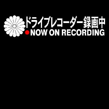 菊紋 ドライブレコーダー録画中 15センチ