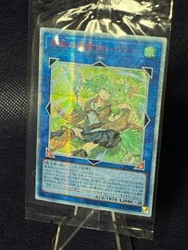 �y�ɔ��i/20th�V�N�z�V�Y��  �����̕���g���E�B�� RIRA-JP046  �����i �R���N�^�[����