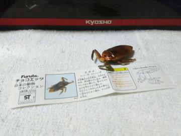 ��� ���{�̓���2 �����̷ެݸ� ����