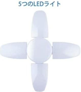 y_gCg  LEDd 5 6000LM Px ݂艺Ɩ ܂肽ݎ px߉\ ȃGl