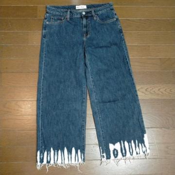 GAP fB[XW[YAi_{^bv