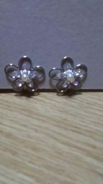 �V���o�[�C�������O