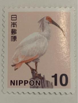 �y���������z���ʐ؎� 10�~ 1�� �V���{�̎��R�F�g�L