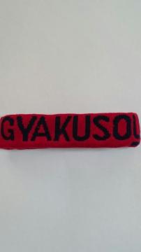 A_[Jo[ GYAKUSOUײ̨ăwbhohÎ