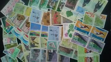 gpi62~؎60  6260[6K