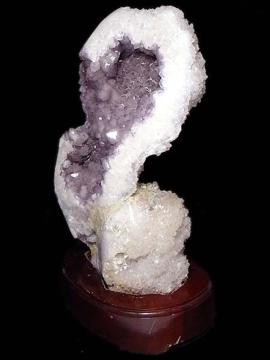 �V�R�@�A���W�X�g�@