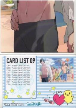 vg[fBOJ[h72@Puzzle Card/List-09