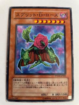 遊戯王【闇・スプリットDローズ】