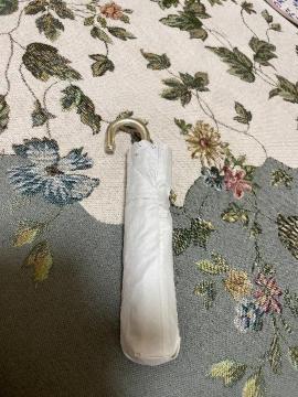 Vigp:grove:Jp:܂肽ݎP