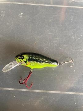 �o�O���[�@�~�m�[�V���b�h