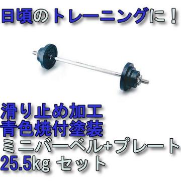 g[jO!dʒ߉\ Vi ~j o[x25.5kg STW043