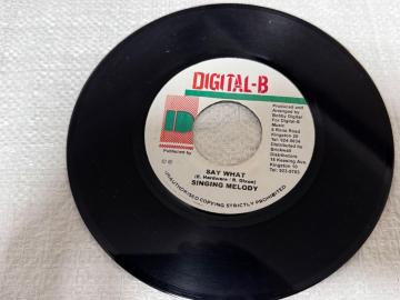 7�C���` Singing Melody / Techniques - Say What / You Don't Care