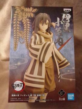 ���S�ł̐n���t�B�M���A�`�J�m���`�E���m�^���ɍ����m����