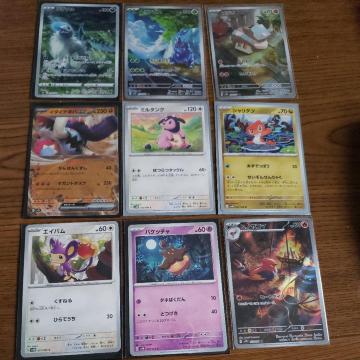 ポケカ ポケモンカード たねポケモンまとめ売り