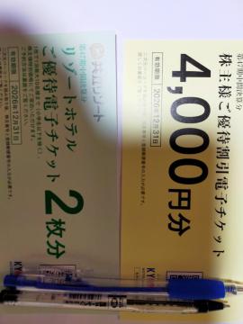 ���������e�i���X ����D�Ҍ� �d�q�`�P�b�g4000�~�� ���]�[�g�z�e���D��x2