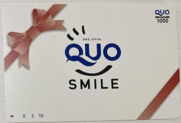 ���N�I�J�[�h1000�~���|�C���g�����Ɂ�17