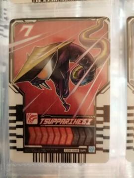 ���ʃ��C�_�[���C�h�P�~�[�g���J11