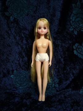 �J�X�^�����J�����f��