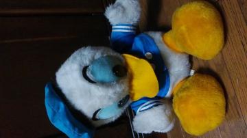 hih_bN̂ʂ