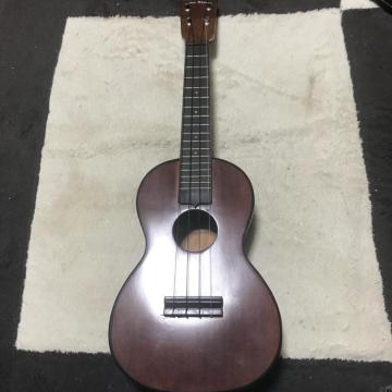 A nC tA RT[gEN  USAP[Xt