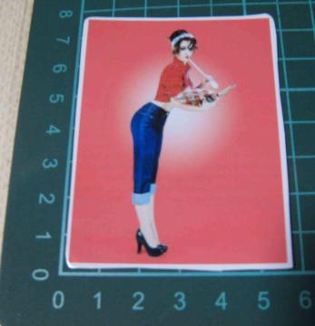 60�f���@�s���i�b�v�E�K�[���@���@�X�e�b�J�[