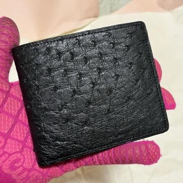 �y�{�v�z�I�[�X�g���b�` ��܂���z ���B���e�[�W �󂠂� ���K���ꂠ��