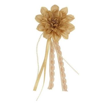 ���[�X���{���t�����W �_���A �R�T�[�W�� �u���E�����V�i