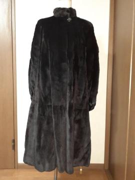 Etude�@�є�̃R�[�g�@��