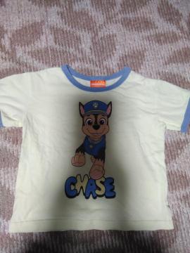 �q����  �p�E�p�g���[��   ����T�V���c  95cm