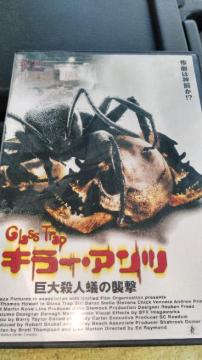 DVD\tg L[EAc ElȁP