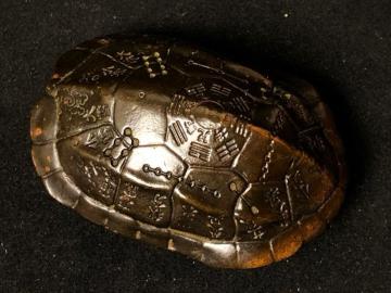 �y�J�^�z���� ���� �T�b ���T ��\�l�ߋC ���� �u�� ���N�� ������ �I�u�W�F ��T ���� ���T�} ���� ���� �����i�肢 ���