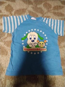 �q����  ���Ȃ����Ȃ��΂�  ����T�V���c  95cm