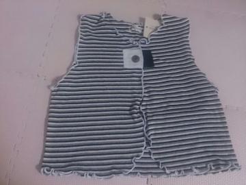 140 Petit Goland Vi