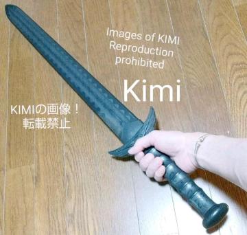 g[jO\[h@_̌ m ގPPȂ̂ňS Pp