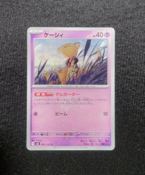 �|�P�J�@�ό��̉��ʁ@�P�[�V�B