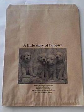 �������݁�B5���]�T�œ��镽�܁����g���X�g�[���[40��+A4�T�C�Y�N���A�p�b�N58��