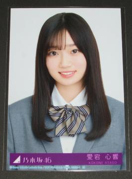 �T�؍�46�@�l�[�u���I�����W�@���ʐ^�P���@�����S��