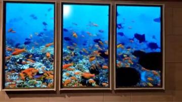 AgtWindows2