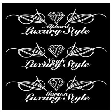 ピンスト アルファード  Luxury Style  50センチ