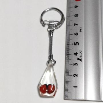 ���a���g�� �������^ �L�[�z���_�[ ���y�Y �y�Y �������g��