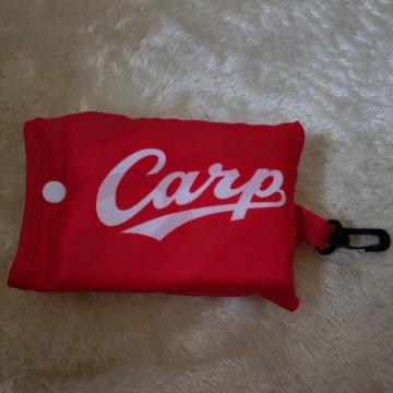 CARP GRobO