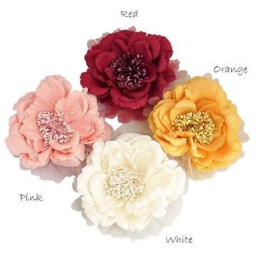 BIG �t�����[ ���b�V�� �R�T�[�W�� ���b�h���V�i