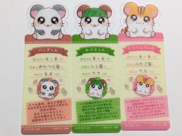 ƂƂnY/ubN}[NRNV/gn/p_/Ԃ邭/3Zbg/oyC