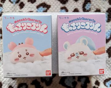 �������肱���� ��������(�������K�A�Ö{���J�j�����)�A�Z�b�g