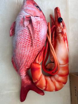 ���A�� �C�̐����� �ʂ������ ��ƃG�r�̃Z�b�g �N�b�V���� ������