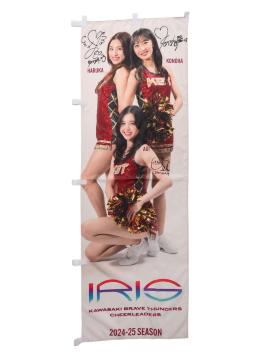 IRIS Ôڂ(1)(MTC)