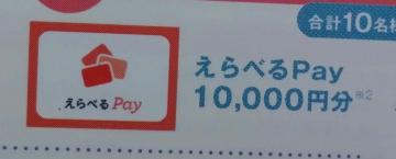 ����ׂ�pay10000�~��������/1��