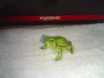 t^   {̓RNV1     @@@ jzA}KG