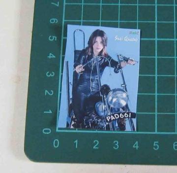 �X�[�W�[�E�N�A�g���@�`���b�p�[�o�C�N �@�X�e�b�J�[�@�Q���Z�b�g